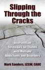 Image for Slipping through the cracks: intervention strategies for clients with multiple addictions and disorders