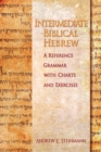 Image for Intermediate Biblical Hebrew