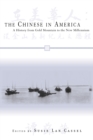 Image for The Chinese in America