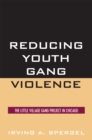 Image for Reducing Youth Gang Violence : The Little Village Gang Project in Chicago