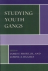 Image for Studying Youth Gangs