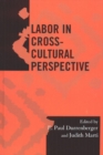 Image for Labor in cross-cultural perspective