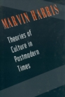 Image for Theories of culture in postmodern times.