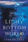 Image for The light at the bottom of the world