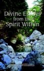 Image for Divine Essays from the Spirit within