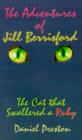 Image for The Adventures of Jill Berrisford
