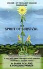 Image for In a Spirit of Survival : A True Story About a Strange Case of Abduction That Led to a Spiritual Journey