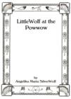 Image for Little Wolf at the Powwow