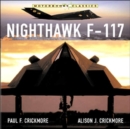 Image for Nighthawk F-117
