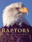 Image for Raptors of North America