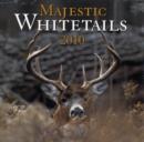 Image for Majestic Whitetails