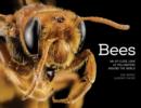 Image for Bees  : an up-close look at pollinators around the world