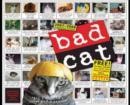 Image for Bad Cat Wall Calendar
