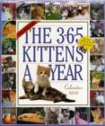Image for 365 Kittens-a-Year Calendar