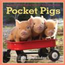 Image for Pocket Pigs Calendar