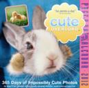Image for Cute Overload Page-A-Day Calendar : 365 Days of Impossibly Cute Photos