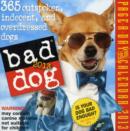 Image for Bad Dog PAD