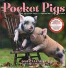 Image for Pocket Pigs 2013