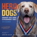 Image for Hero Dogs 2014 Wall Calendar