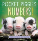 Image for Pocket Piggies Numbers!