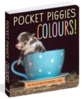 Image for Pocket Piggies Colours!
