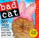 Image for Bad Cat : 365 Not-So-Pretty Kitties and Cats Gone Bad