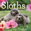 Image for Sloths Wall Calendar 2016