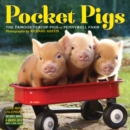 Image for Pocket Pigs