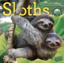 Image for Sloths Wall Calendar 2017