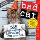 Image for Bad Cat Page-A-Day Calendar 2017