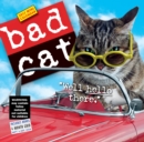 Image for Bad Cat Mini Wall Calendar 2017