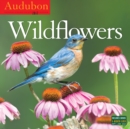Image for Audubon Wildflowers Wall Calendar 2017