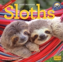 Image for Sloths Wall Calendar 2018