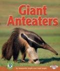 Image for Giant Anteaters