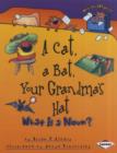 Image for A cat, a bat, your grandma&#39;s hat  : what is a noun?