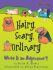 Image for Hairy Scary Ordinary