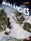 Image for Avalanches