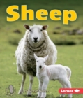 Image for Sheep