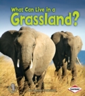 Image for What can live in a grassland?