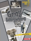 Image for Gray Everywhere
