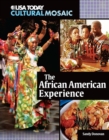 Image for African American Experience