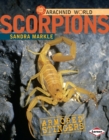 Image for Scorpions: Armored Stingers
