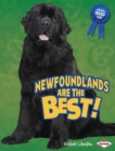 Image for Newfoundlands are the best!