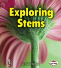Image for Exploring Stems