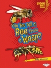 Image for Can You Tell a Bee from a Wasp?