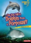 Image for Can You Tell a Dolphin from a Porpoise?