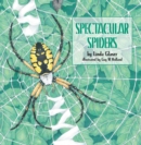 Image for Spectacular Spiders.