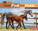 Image for From Foal to Horse