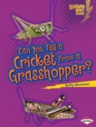 Image for Can You Tell a Cricket from a Grasshopper?