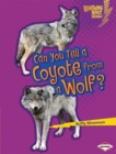 Image for Can you tell a coyote from a wolf?